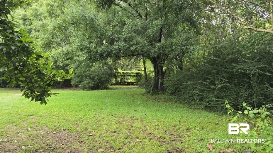 23953 Peturis Road Loxley, AL 36551 - Photo 47 of 56 This view is North of circular drive