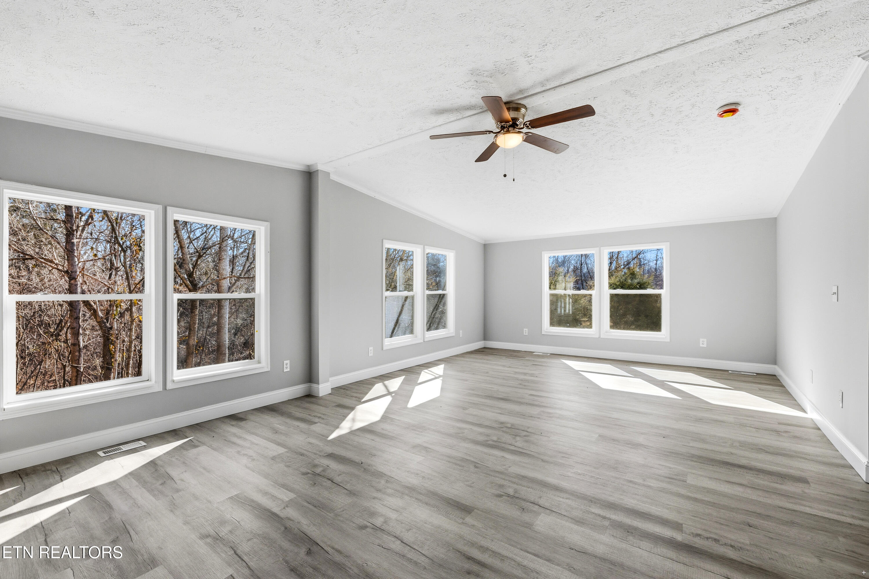 1564 Hollow Springs Road White Pine, TN 37890 - Photo 15 of 31 Positive Perceptions-15