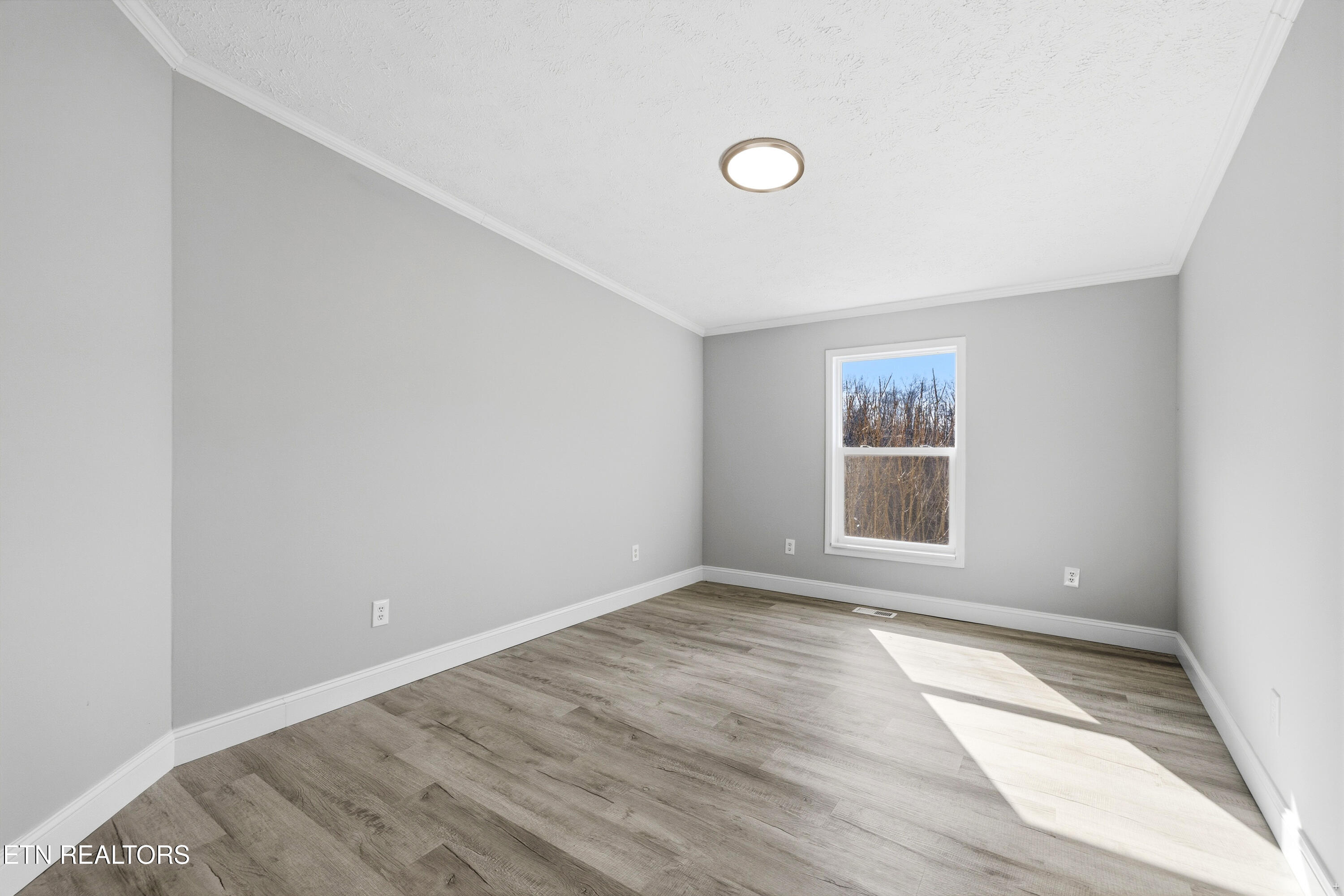 1564 Hollow Springs Road White Pine, TN 37890 - Photo 21 of 31 Positive Perceptions-21