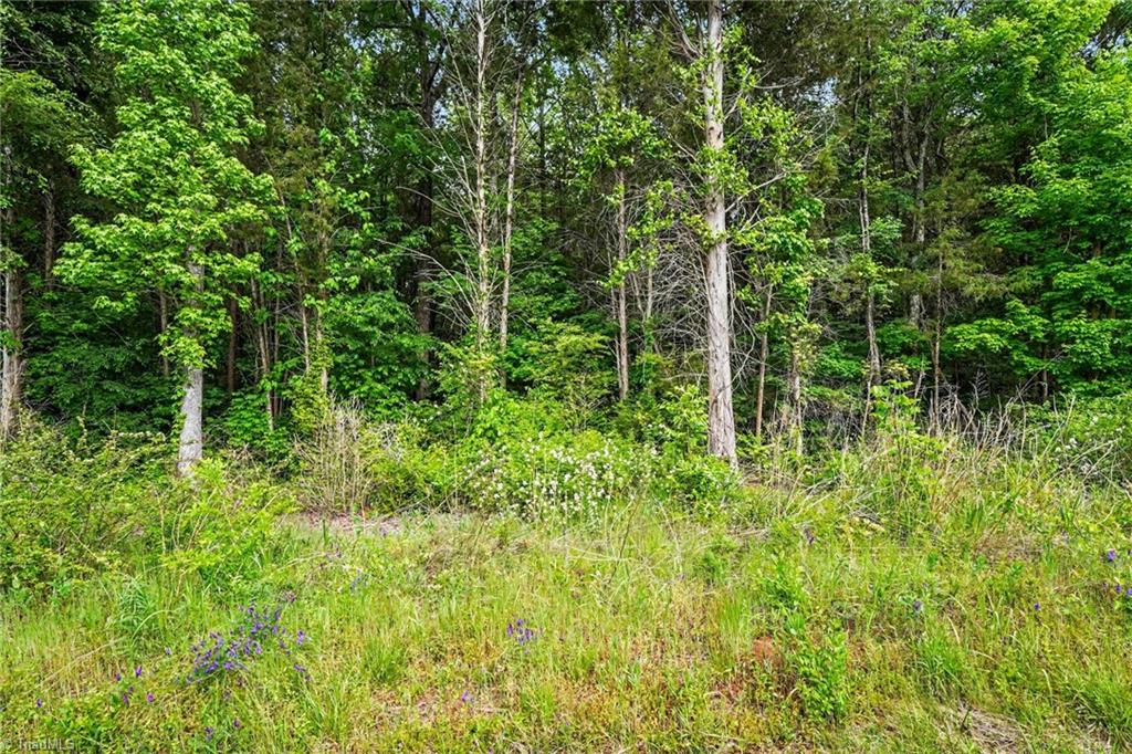 0 Belmont Road Linwood, NC 27299 - Photo 6 of 18