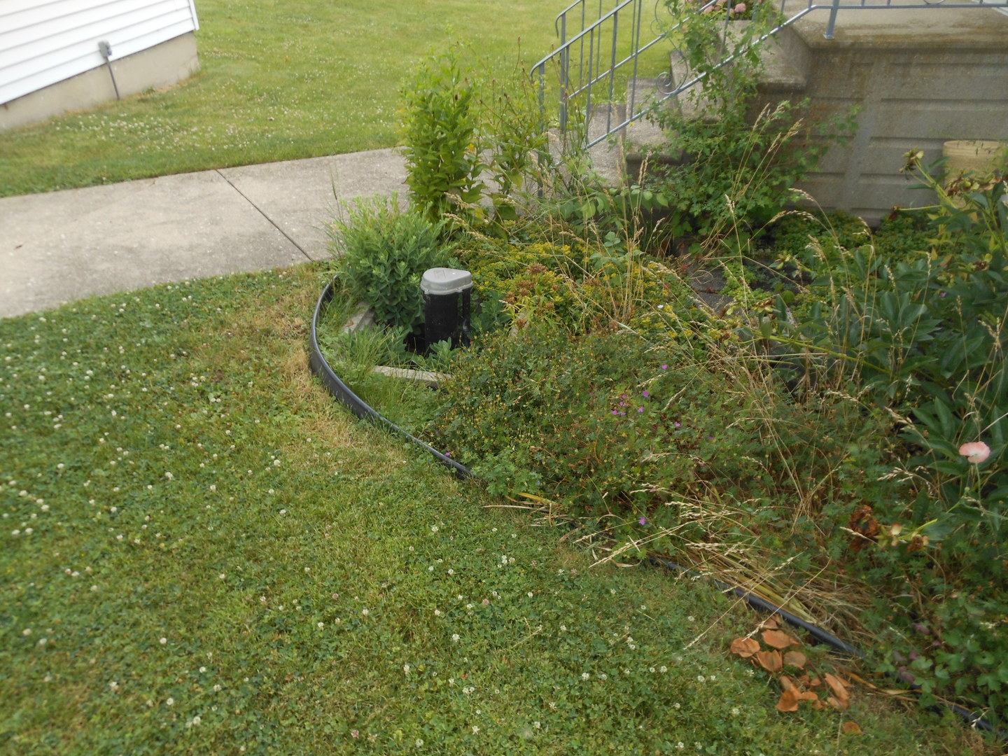 15003 High Road Lockport, IL 60441 - Photo 6 of 30 a view of a garden with a fountain