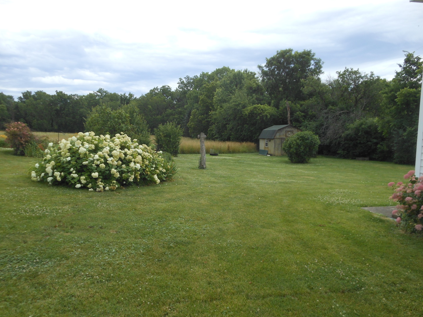 15003 High Road Lockport, IL 60441 - Photo 7 of 30 a garden with a building in the background