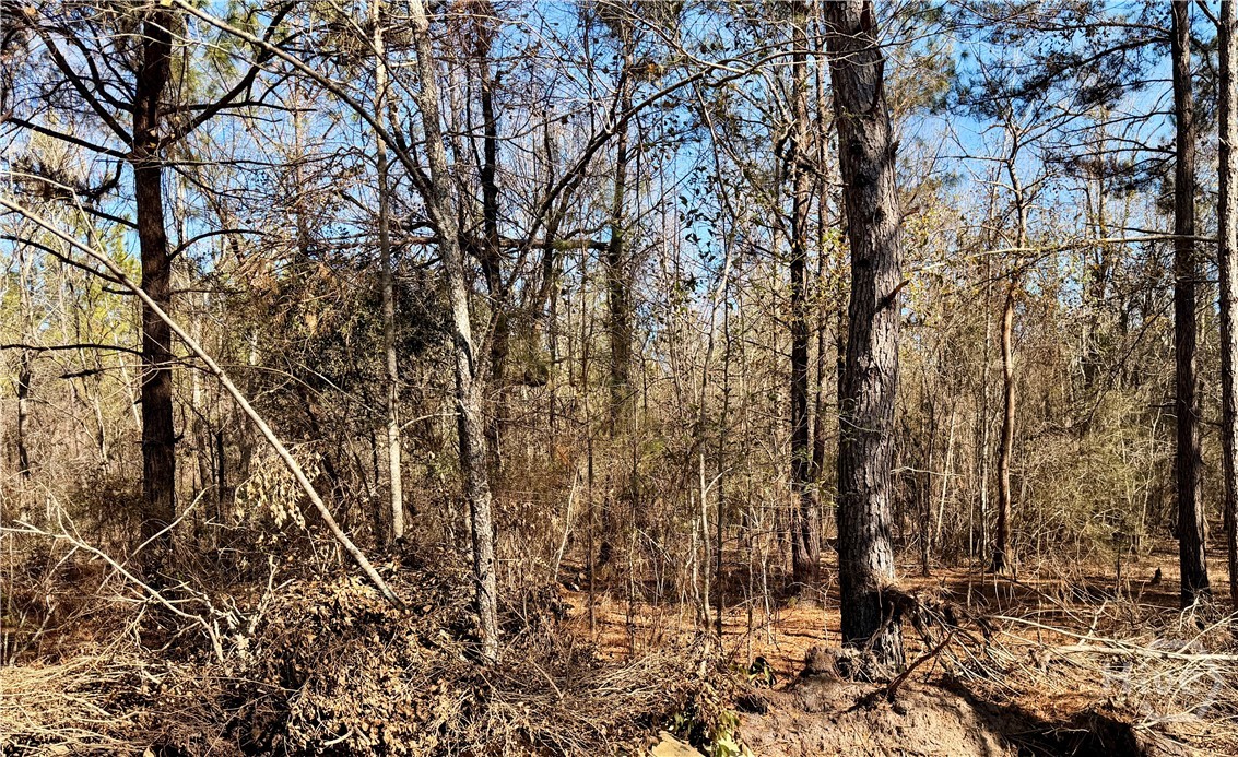 850 O F Lanier Road Pembroke, GA 31321 - Photo 24 of 32