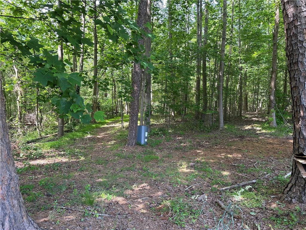241 Olde Quarry Road Graham, NC 27253 - Photo 30 of 30 a view of a forest with trees in the background