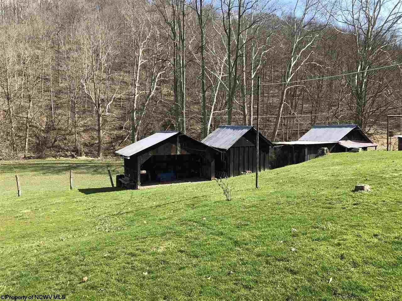255 Buffalo Brink Road Mannington, WV 26582 - Photo 4 of 20 Gallery Image 4