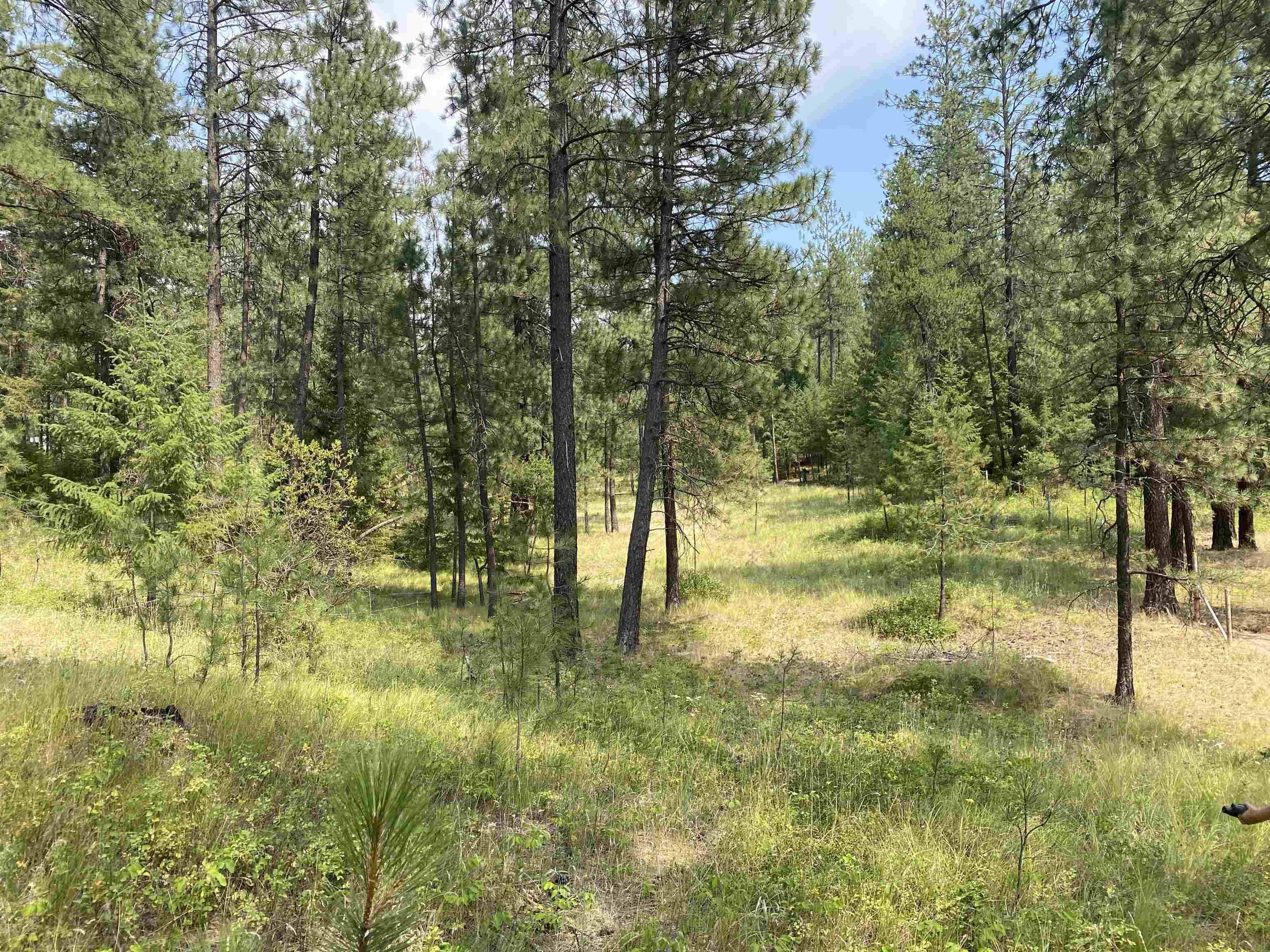 Elk-chattaroy East Rd Elk Wa 99009 Road Elk, WA 99009 - Photo 1 of 11