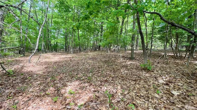 $100,000 | 0 Storrs Road, Unit 2, Willimantic, CT 06226