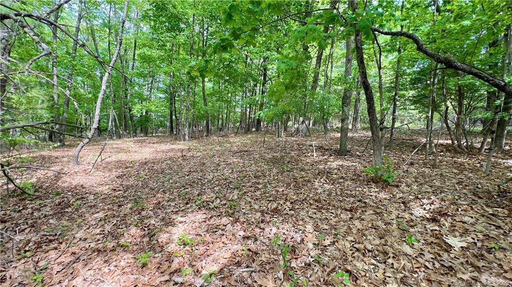 0 Storrs Road, Unit 2 Willimantic, CT 06226 - Photo 4 of 7