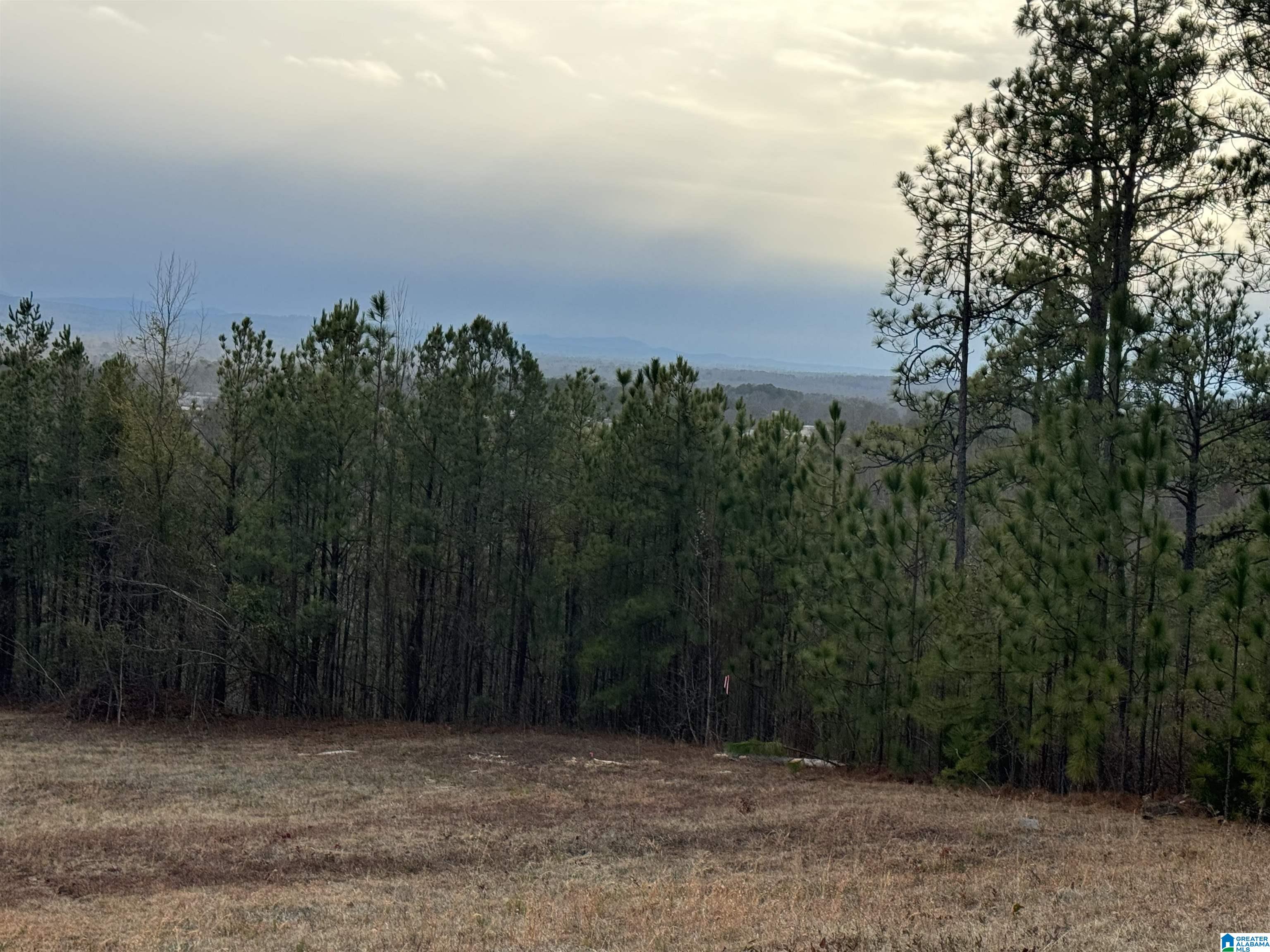223 Mountain Ridge Road, Unit 65A AND 66A Oxford, AL 36203 - Photo 8 of 37 Gallery Image 8