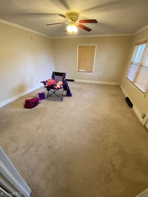 191 Periwinkle Road Eden, NC 27288 - Photo 28 of 28 Gallery Image 28