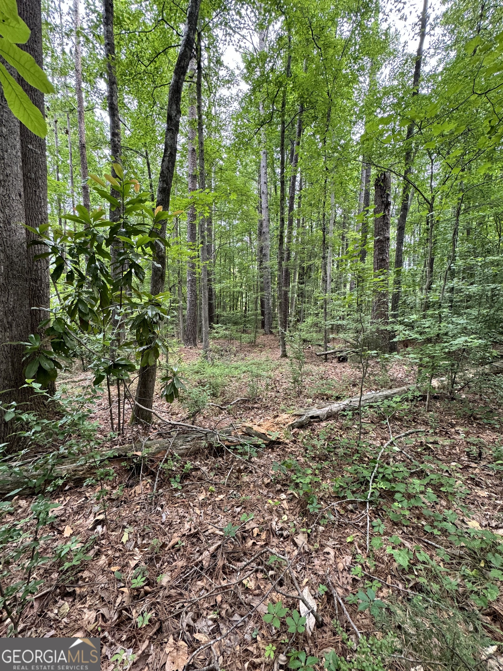 0 East Stubbs Road Atlanta, GA 30349 - Photo 1 of 1 Gallery Image 1