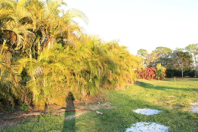 $3,200 | 11988 49th Street North, Royal Palm Beach, FL 33411