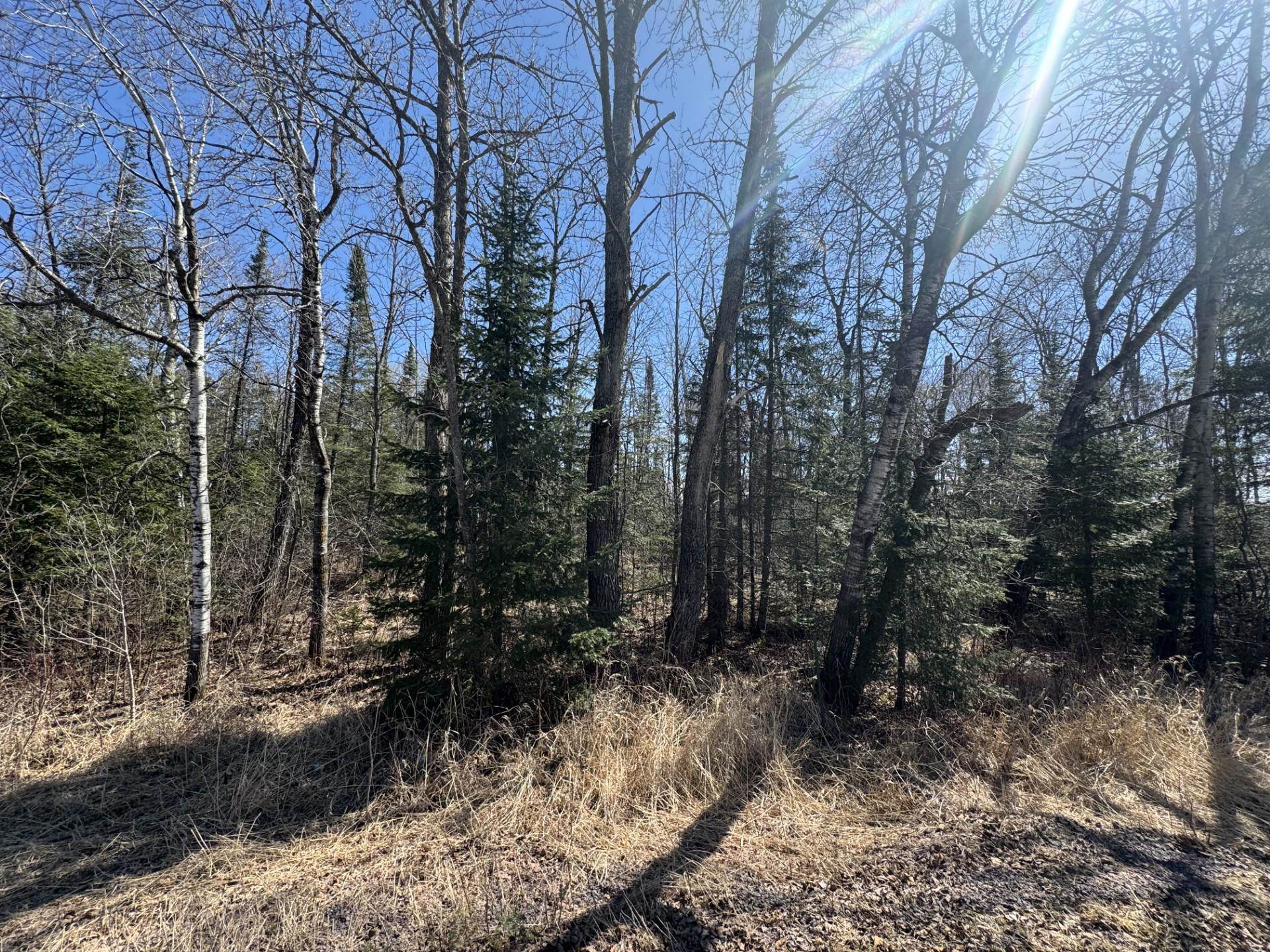 89-xx South Meller Road Solon Springs, WI 54873 - Photo 5 of 5 View of landscape