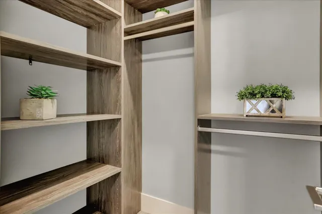 a window with a potted plant on it