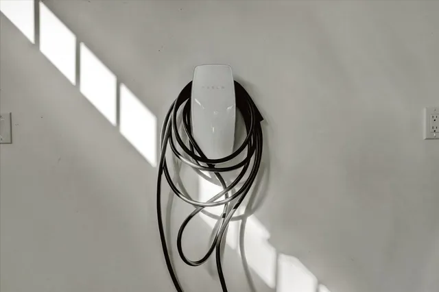 a view of a lush green forest with trees in the background