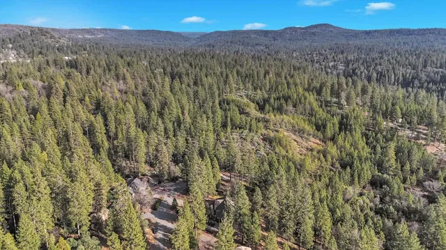 a house with trees in front of it