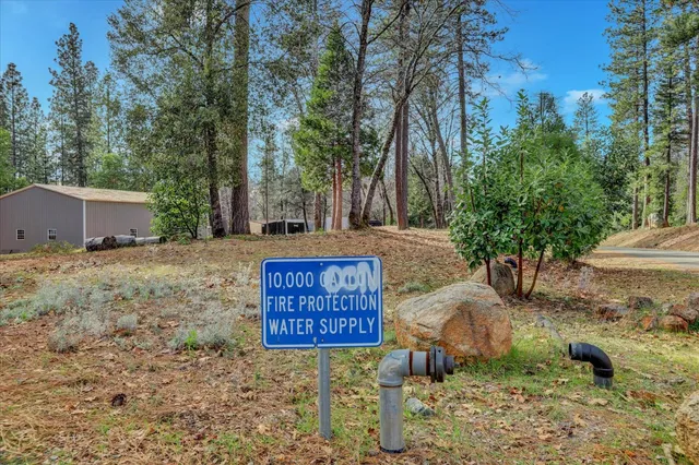 a view of a backyard with large trees and wooden fence