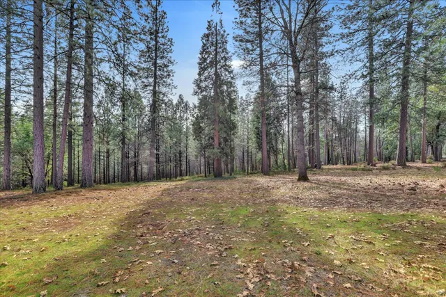 $1,100,000 | 11325 Constitution Court, Nevada City, CA 95959