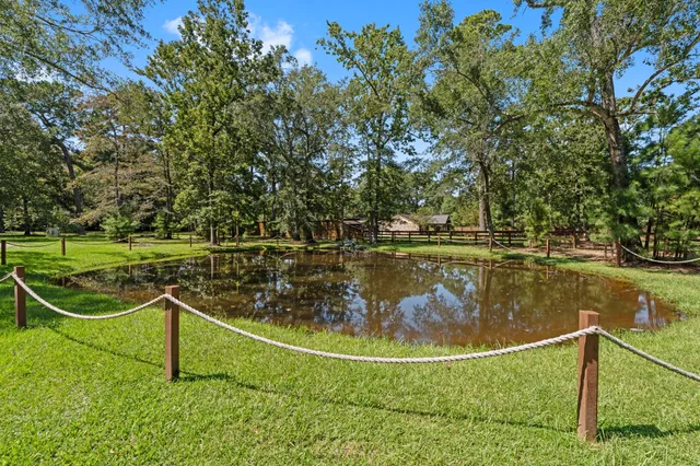 a view of a house with backyard and a tree