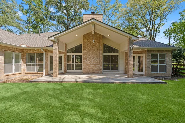 a view of a park with a tree