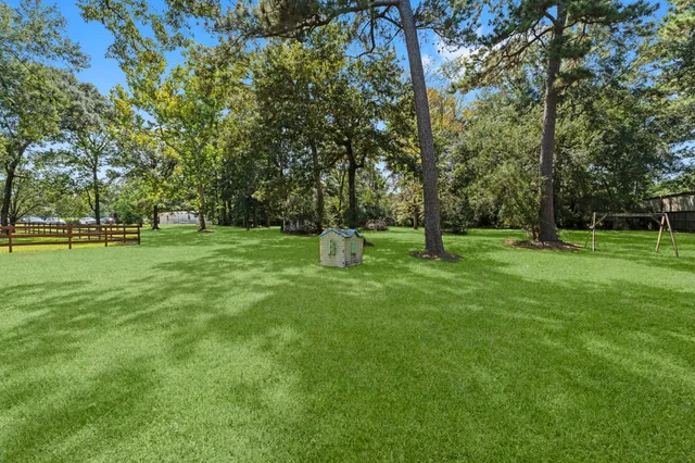 a garden with trees in the background