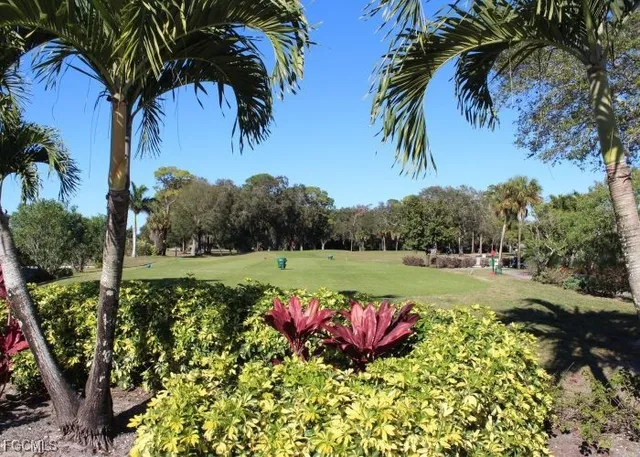 a view of a garden with an tree