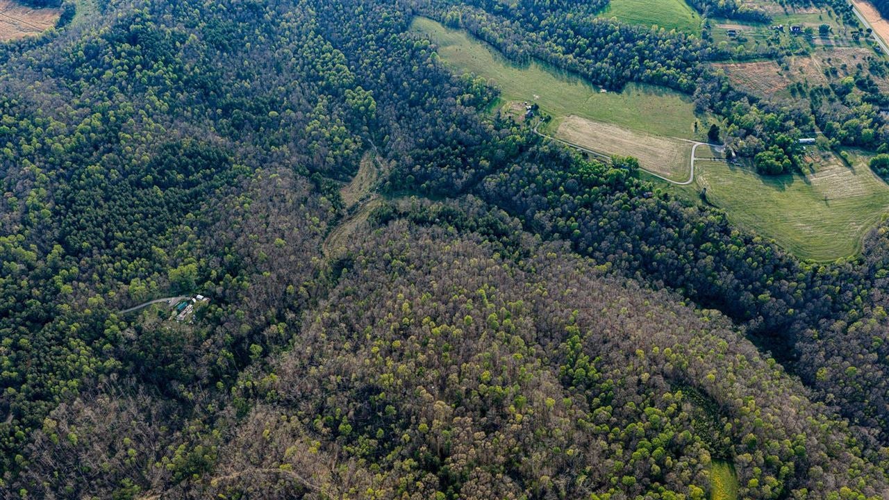 0 West Vincent Road Bee Spring, KY 42207 - Photo 7 of 9 Gallery Image 7