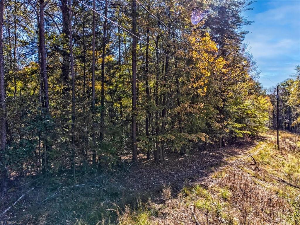 0 Link Road Trinity, NC 27370 - Photo 10 of 20