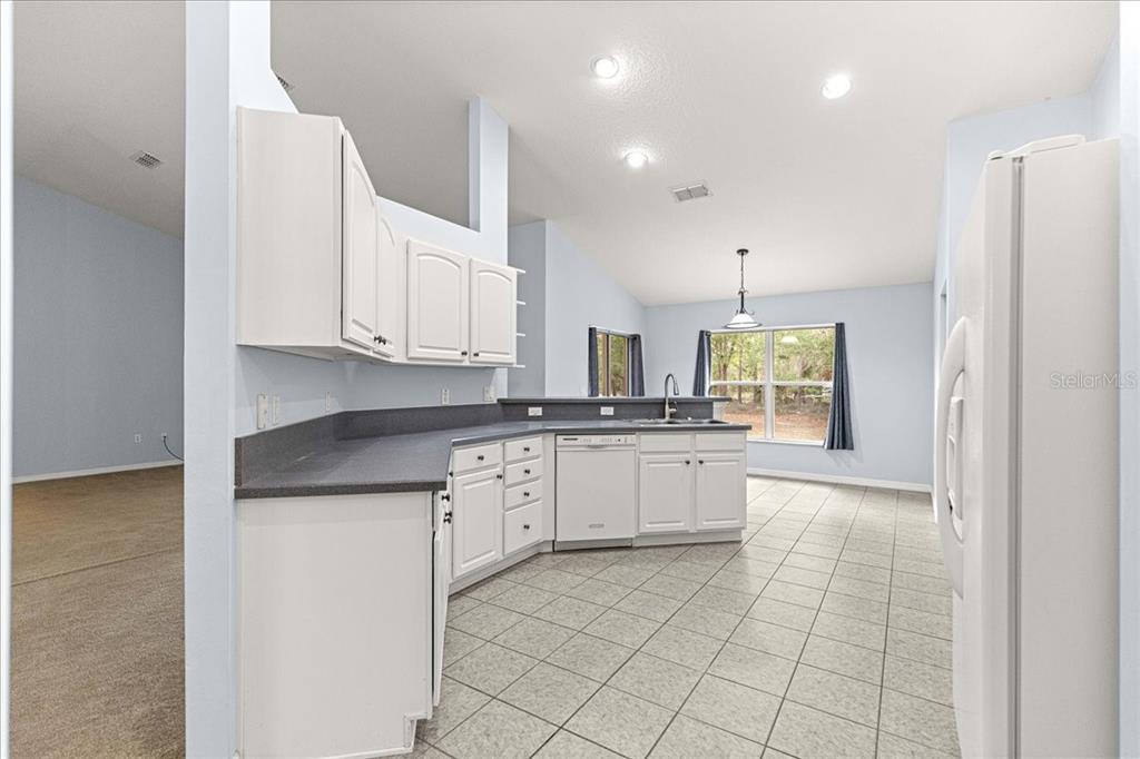 21595 Southwest 84th Loop Dunnellon, FL 34431 - Photo 13 of 62