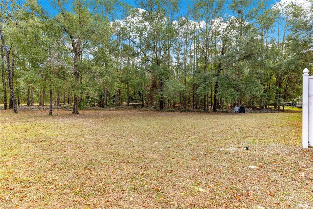 21595 Southwest 84th Loop Dunnellon, FL 34431 - Photo 43 of 62 a view of outdoor space with trees