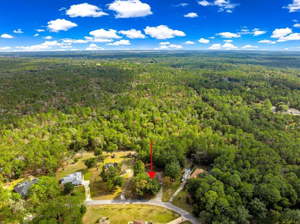 21595 Southwest 84th Loop Dunnellon, FL 34431 - Photo 56 of 62 a view of an outdoor space and a yard