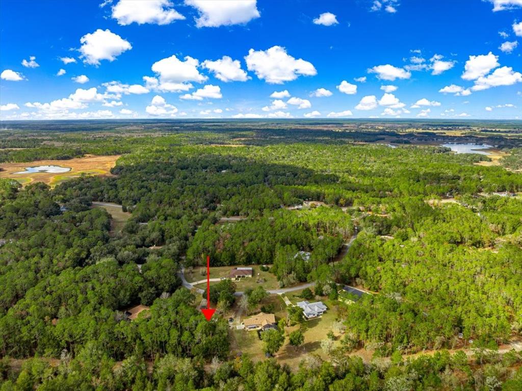 21595 Southwest 84th Loop Dunnellon, FL 34431 - Photo 58 of 62