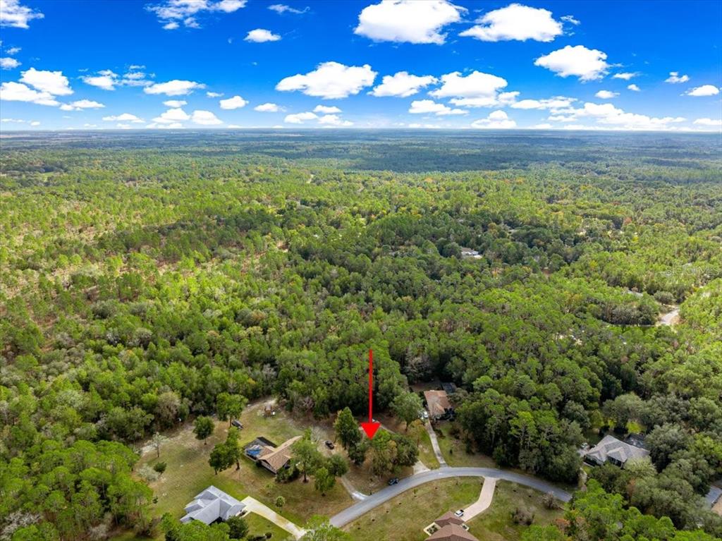 21595 Southwest 84th Loop Dunnellon, FL 34431 - Photo 60 of 62 a view of an outdoor space and a yard