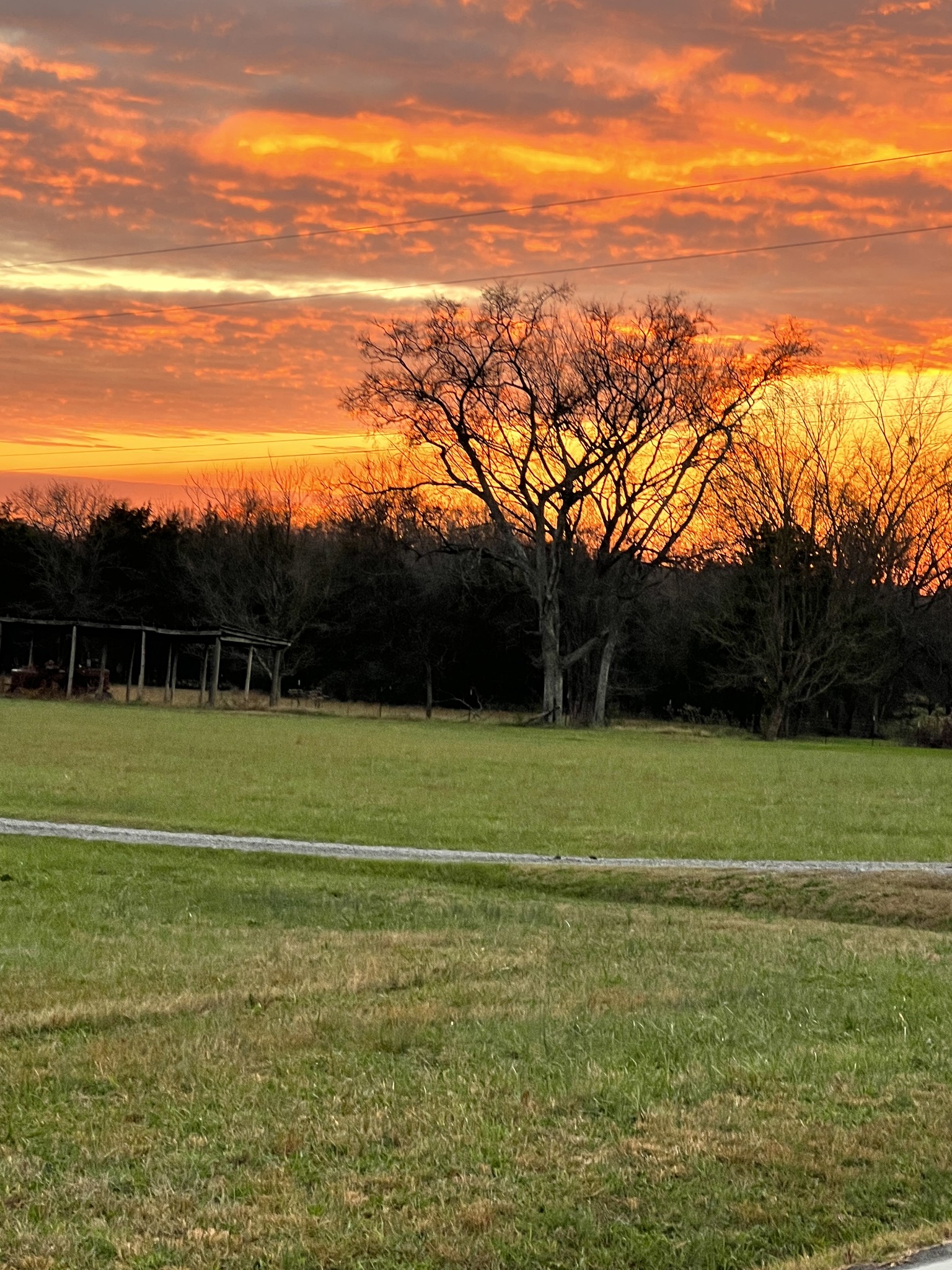 12663 Newtown Road Rockvale, TN 37153 - Photo 13 of 17 a view of a field with an trees