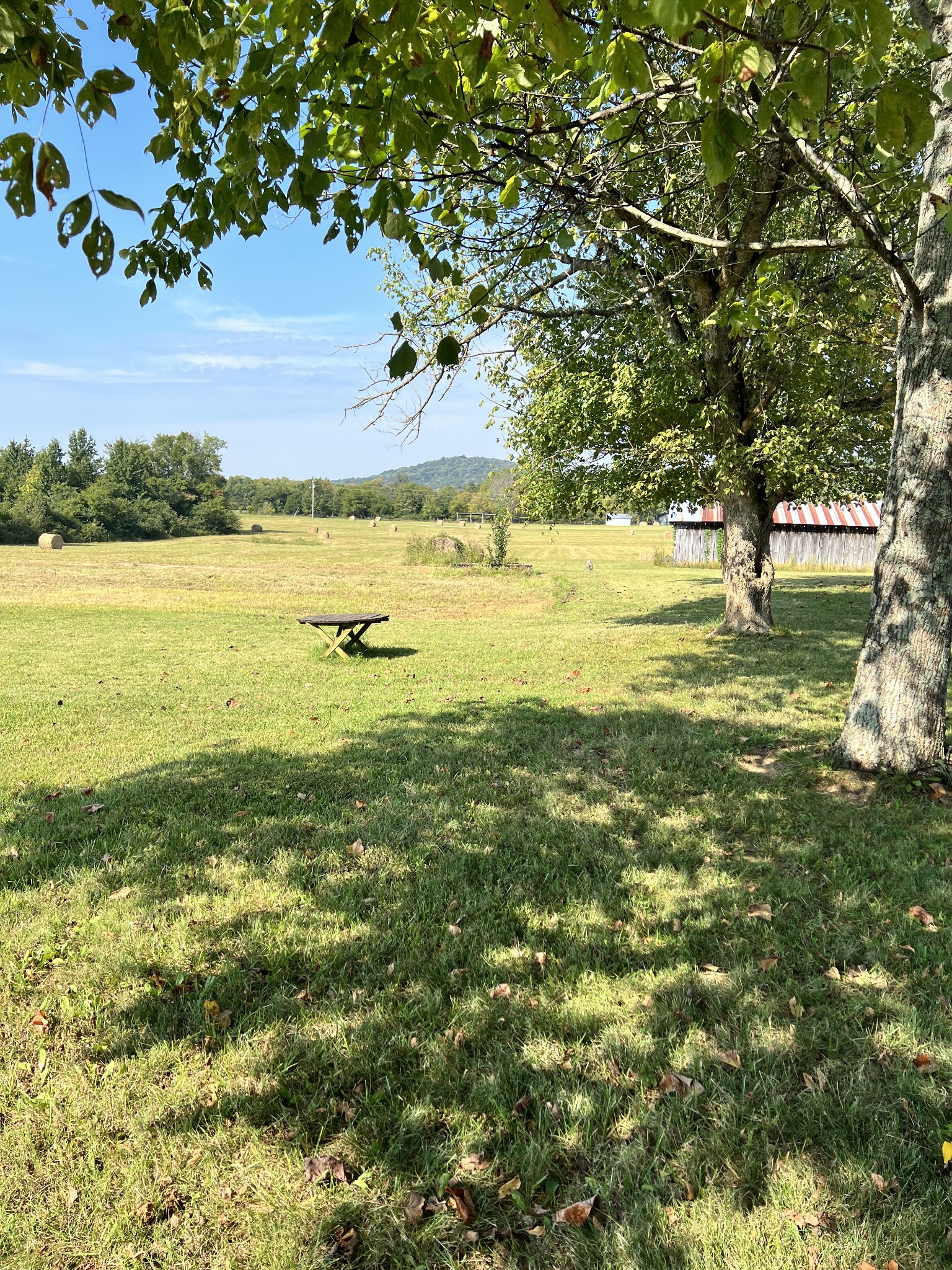 12663 Newtown Road Rockvale, TN 37153 - Photo 6 of 17 a view of an ocean and a mountain