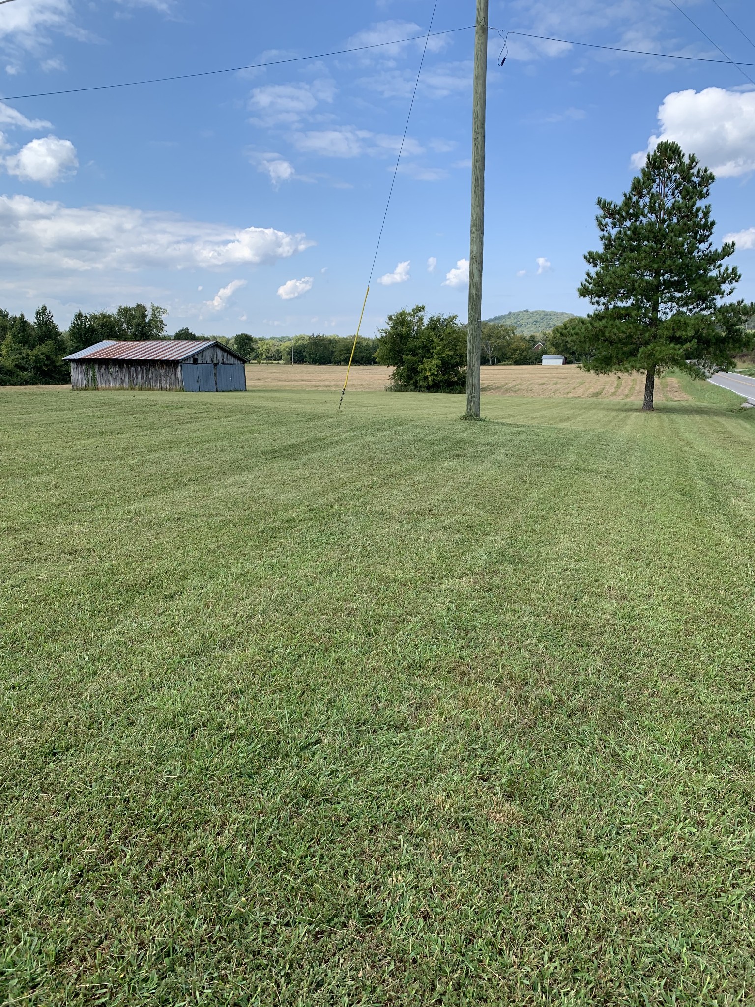 12663 Newtown Road Rockvale, TN 37153 - Photo 7 of 17 a yard with lots of green space and tall buildings