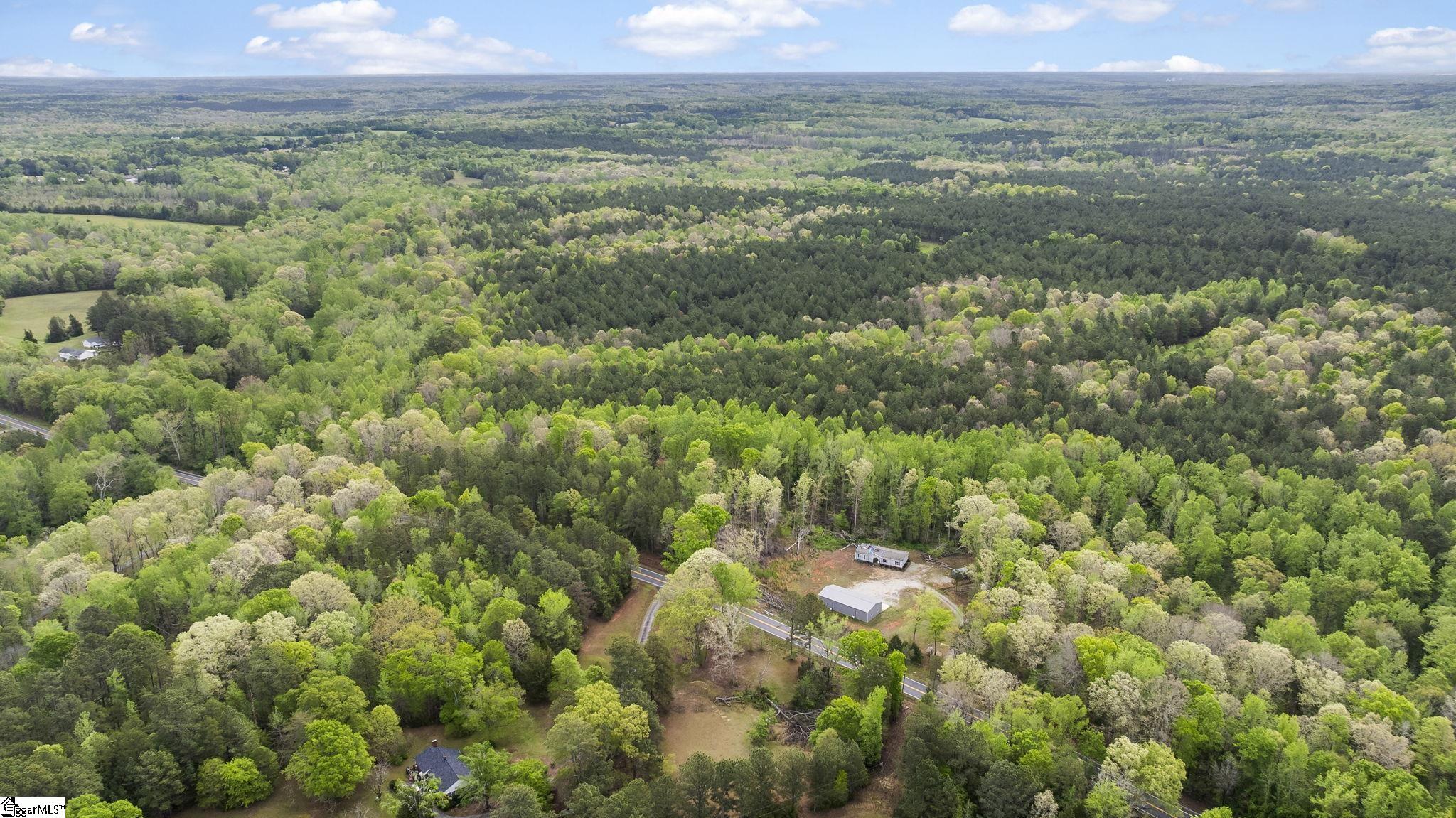 10795 Highway 252 Ware Shoals, SC 29692 - Photo 4 of 28