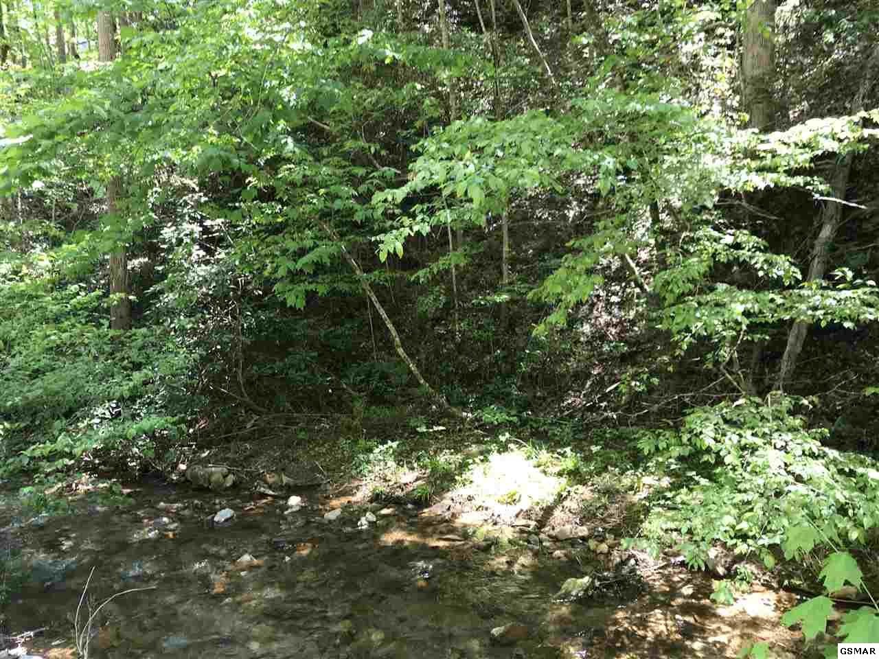 4 Clear Fork Road Sevierville, TN 37862 - Photo 3 of 3
