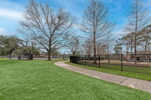 a view of a park with large trees