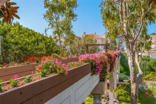 view of the city and flowers
