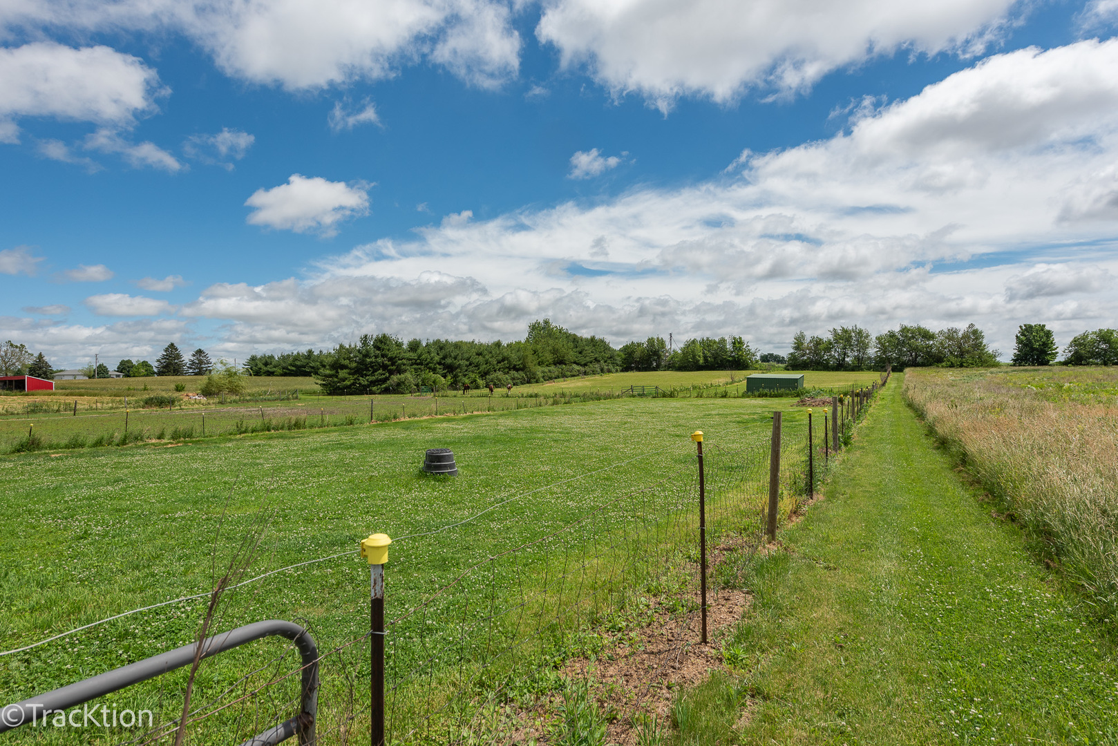 894 Moffet Road Paw Paw, IL 61353 - Photo 28 of 31 a view of a lake with a big yard