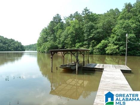 141 County Road 2010 Delta, AL 36258 - Photo 6 of 8