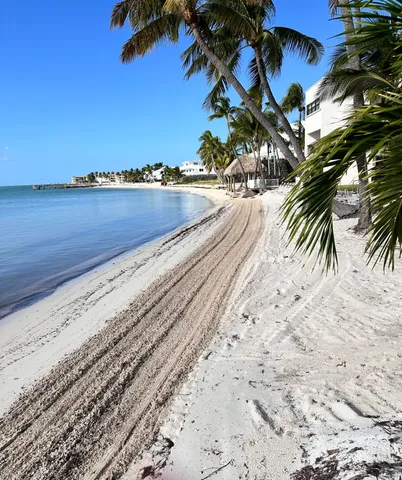 a view of an ocean beach