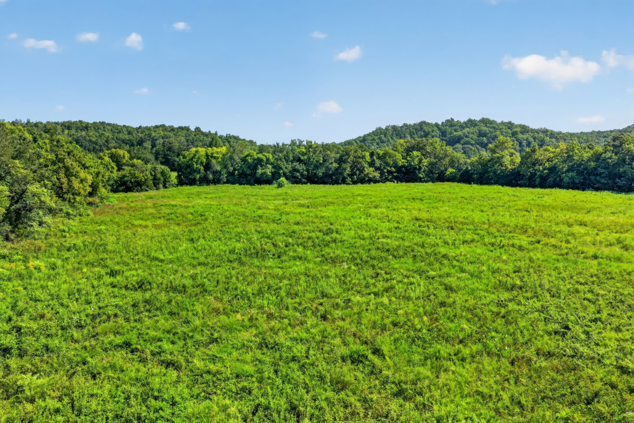 160 Backside Beaverdam Road Centerville, TN 37033 - Photo 39 of 41 Gallery Image 39