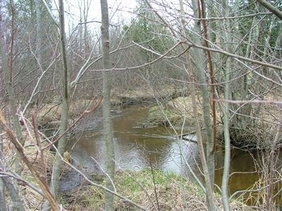 Wilson Road Kaleva, MI 49645 - Photo 1 of 14 Primary Photo