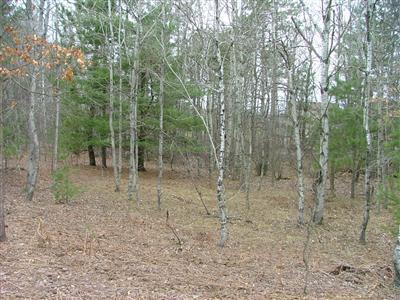Wilson Road Kaleva, MI 49645 - Photo 12 of 14 Additional Photo