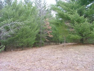 Wilson Road Kaleva, MI 49645 - Photo 13 of 14 Additional Photo