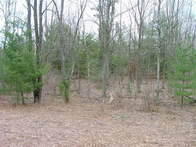 Wilson Road Kaleva, MI 49645 - Photo 2 of 14 Additional Photo