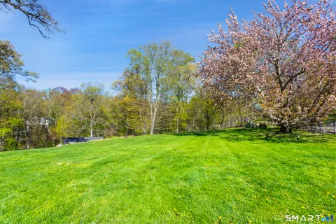 a view of a grassy field with trees