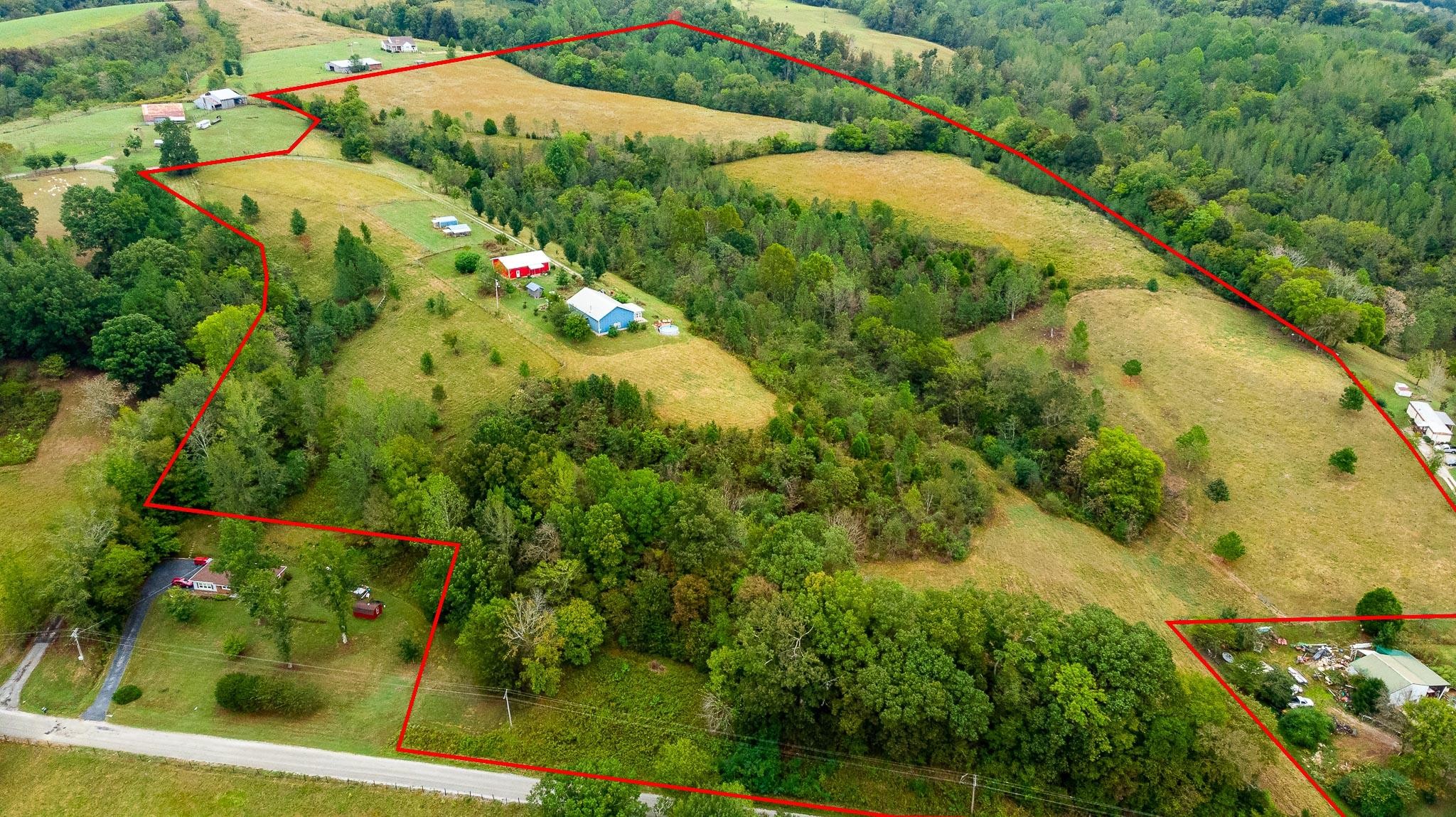 515 Blooming Grove Road Pulaski, TN 38478 - Photo 3 of 30 a view of a garden with a tree